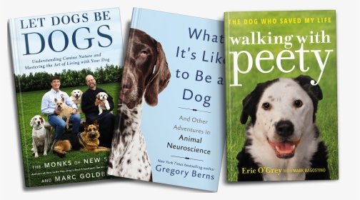 In Post Image For 10 Gifts For The Dog Lover In Your - Walking With Peety Book, HD Png Download, Free Download