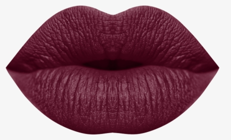 Roxie Lipstick Color - Tints And Shades, HD Png Download, Free Download