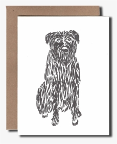 Shaggy Dog - Yorkshire Terrier, HD Png Download, Free Download