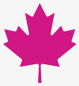Chp Maple Leaf - Canadian Red Maple Leaf, HD Png Download, Free Download