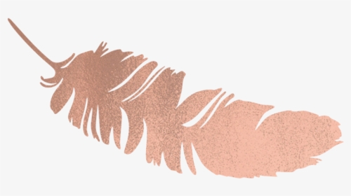 Rose Gold Feather Png, Transparent Png, Free Download