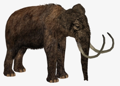 African-elephant - Zoo Tycoon 2 Woolly Mammoth, HD Png Download, Free Download