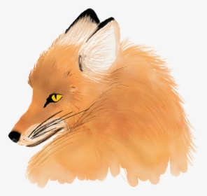 Watercolour Fox, Watercolor, Animal, Drawing, Painting - Animales Dibujos En Acuarela, HD Png Download, Free Download