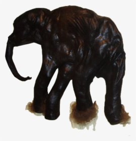 Dima Mammoth, HD Png Download, Free Download