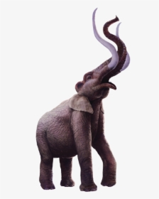 Mammoth Side - Indian Elephant, HD Png Download, Free Download