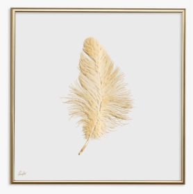 24k Gold Feather Small - Illustration, HD Png Download, Free Download
