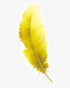 Feather Yellow Computer File - Macro Photography, HD Png Download, Free Download
