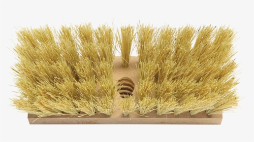 Roof Brush - Grass, HD Png Download, Free Download