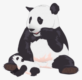 Giant Panda, HD Png Download, Free Download