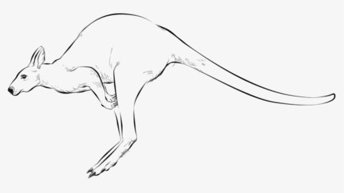 Kangaroo Jumping Free Png Image - Känguru Einfach Zeichnen, Transparent Png, Free Download