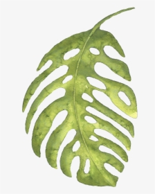 Este Gráficos Es The Green Banana Leaves Large Hand-painted - Leaf Large Png, Transparent Png, Free Download
