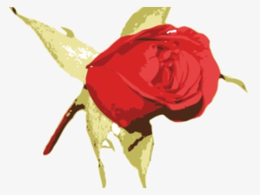 Rose Cartoon Drawing - Rose, HD Png Download, Free Download