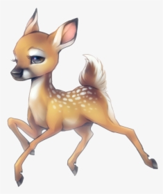 Baby White Tailed Deer Drawing, HD Png Download, Free Download