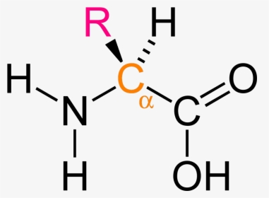 Alpha Amino Ac - N -( Phosphonomethyl Iminodiacetic Acid Hydrate, HD Png Download, Free Download