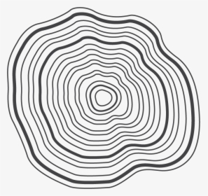 Transparent Tree Rings Png - Circle, Png Download, Free Download