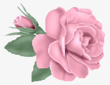 Transparent Burgundy Rose, HD Png Download, Free Download