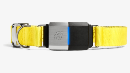 Image Of The Fi Collar With The Led Enabled - Fi Smart Dog Collar, HD Png Download, Free Download