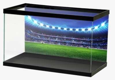 Stadium, HD Png Download, Free Download