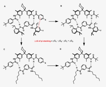 Double Mutant Cycle - Π − Π Stacking, HD Png Download, Free Download