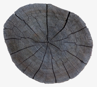 Preview - Tree Stump, HD Png Download, Free Download