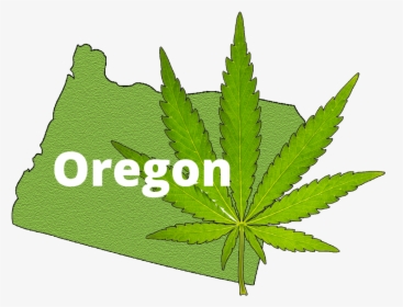 Oregon Marijuana Cannabusiness Plans Pinnacle Consultation - Oregon Marijuana, HD Png Download, Free Download