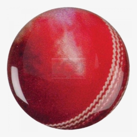 Cricket, HD Png Download, Free Download