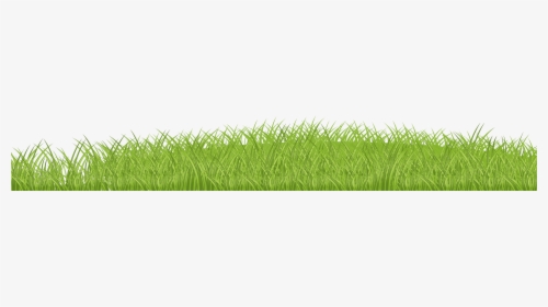 Featured image of post Background Grama Png Green green background background computer computer wallpaper grass png