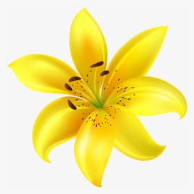 Flowers Clipart Yellow Flower, HD Png Download, Free Download