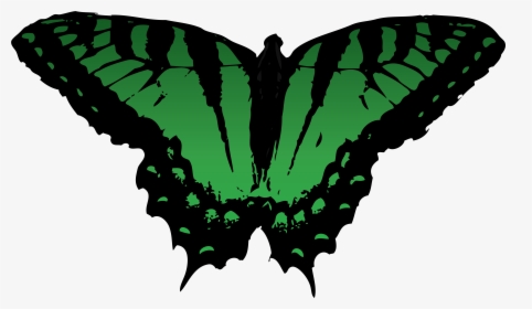 Butterfly Vector Free For Use By Romansiii On Clipart - Free Green Vector Butterfly, HD Png Download, Free Download