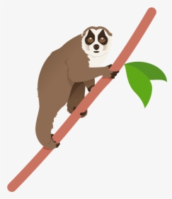 Transparent Lemur Png - Illustration, Png Download, Free Download