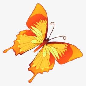 Butterfly Mariposa Diurna Day Diurnal Spring Primavera - Butterfly Vector, HD Png Download, Free Download