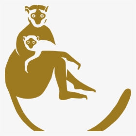 Lemur Conservation Foundation Logo, HD Png Download, Free Download