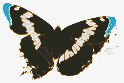 Free Vector Butterflies - Butterflies, HD Png Download, Free Download