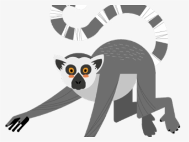 Ring Tail Lemur Clipart, HD Png Download, Free Download