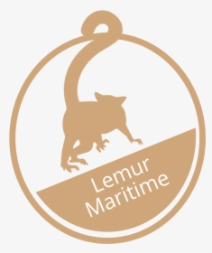 Lemur Png, Transparent Png, Free Download