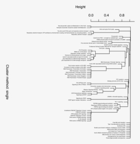 Document, HD Png Download, Free Download
