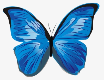 Butterfly Images, Blue Butterfly, Clip Art Free, Free - Blue Butterfly Icon Png, Transparent Png, Free Download