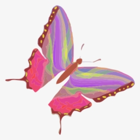 Butterfly Scalable Vector Graphics Svg Clip Art 555px - فراشة ملونة, HD Png Download, Free Download