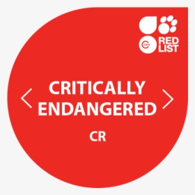 Lemurs Critically Endangered - Endangered Symbol Transparent, HD Png Download, Free Download