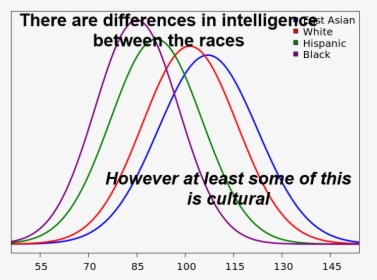People Will Bring Up The Bell Curve And How There Are - Average Hispanic Iq, HD Png Download, Free Download