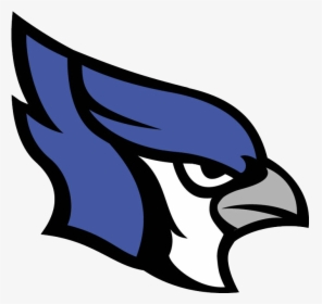 Transparent Blue Jay Png - Marshfield Bluejays, Png Download, Free Download