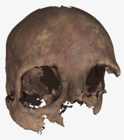 Skull, HD Png Download, Free Download