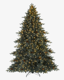 Artificial Christmas Tree Balsam Hill Pre-lit Tree - Real Christmas Tree Png, Transparent Png, Free Download