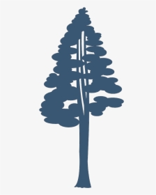 Coast Redwood Giant Sequoia Drawing Silhouette Clip - Sequoia Tree Silhouette Png, Transparent Png, Free Download