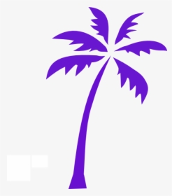 Transparent Background Palm Tree Clipart, HD Png Download, Free Download