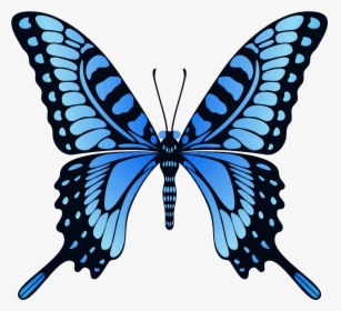 Png Image Free Picture - Animated Butterfly Gif, Transparent Png, Free Download