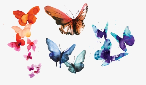 Watercolor Butterflies Set By Stina Persson From Tattly - Watercolor Butterfly Png, Transparent Png, Free Download