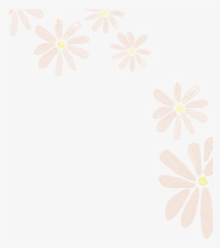 Flowers Cream Yellow Sticker Png - African Daisy, Transparent Png, Free Download
