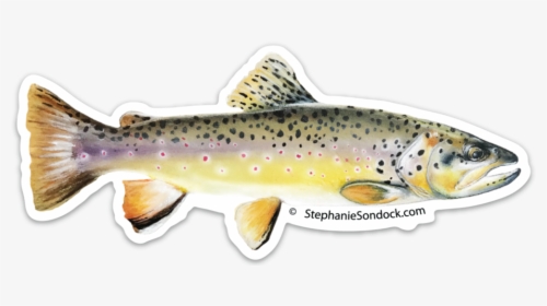 Products Stephanie Sondock Brown - Brown Trout, HD Png Download, Free Download