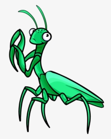 Mantis Png - Praying Mantis Clipart Png, Transparent Png, Free Download